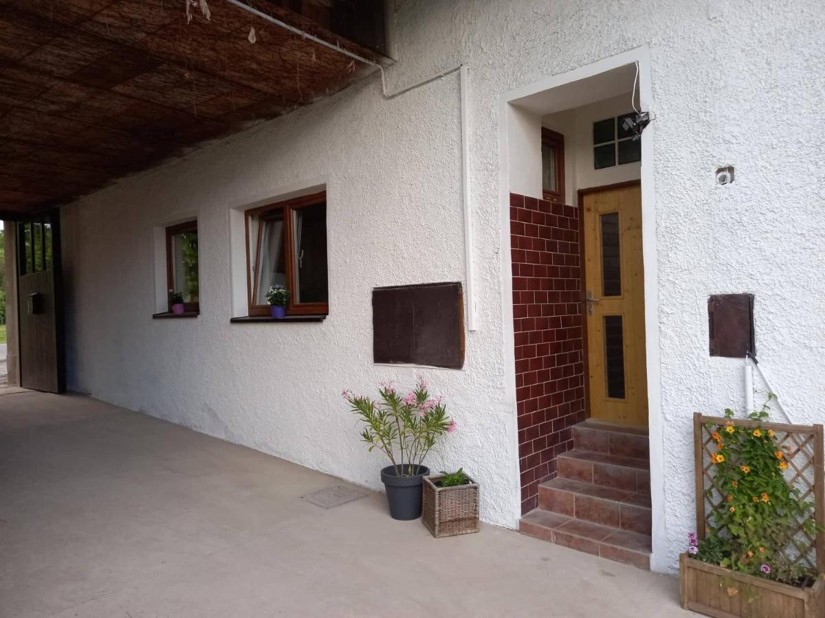 Ubytováni U rybníčku - B&B Bzová