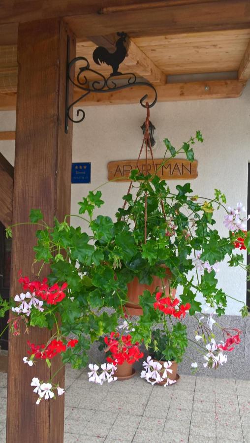 Apartman Thea Gomirje - Chambres d’hôtes