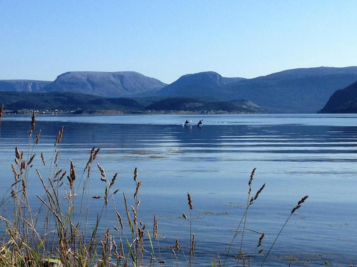 Bonne Bay Biscuit Box - Ferienwohnung Woody Point
