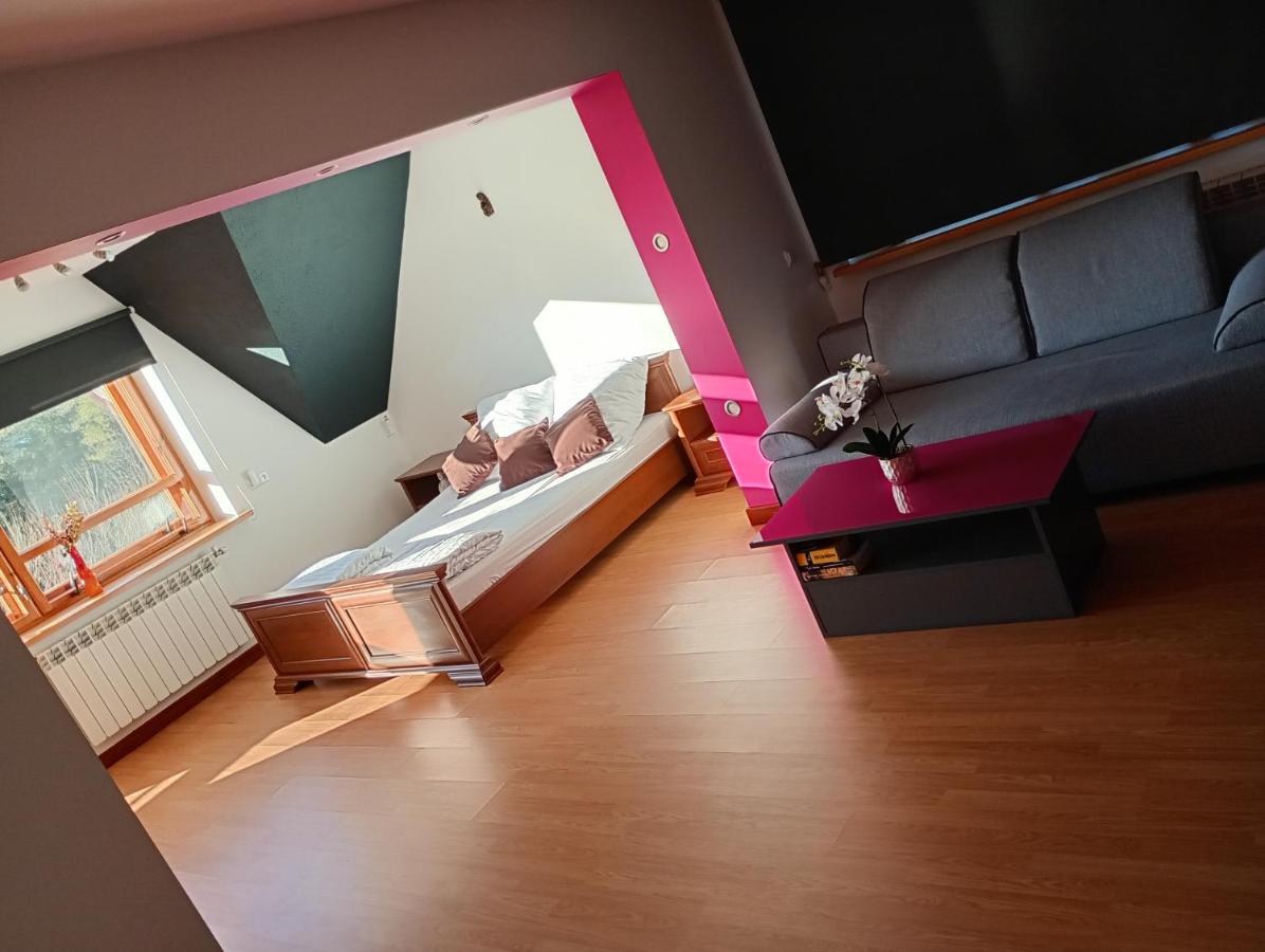 Krynica Zdrój - Dom nad wodą - B&B Piorunka