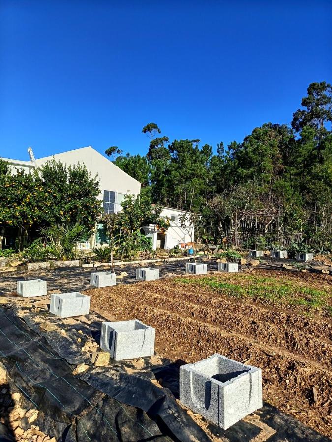 Casa 99 in Barbéns, Miranda do Corvo - B&B Miranda do Corvo