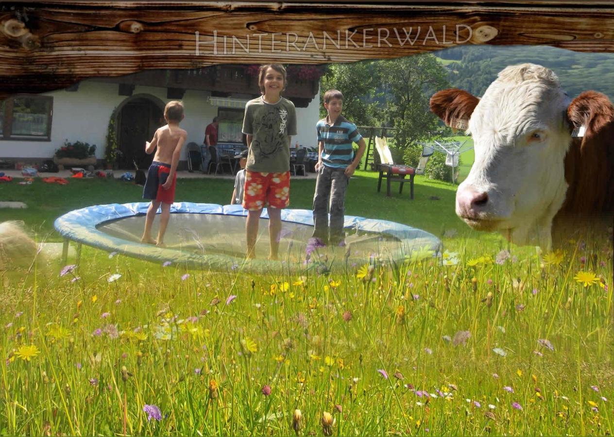 Hinterankerwald - Ferienwohnung Walchsee