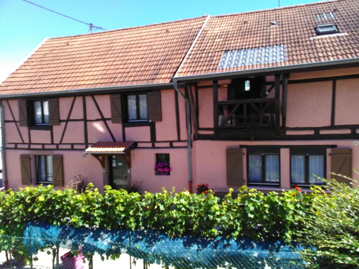 Gites & Camping on the Route des Vins - Chambres d’hôtes