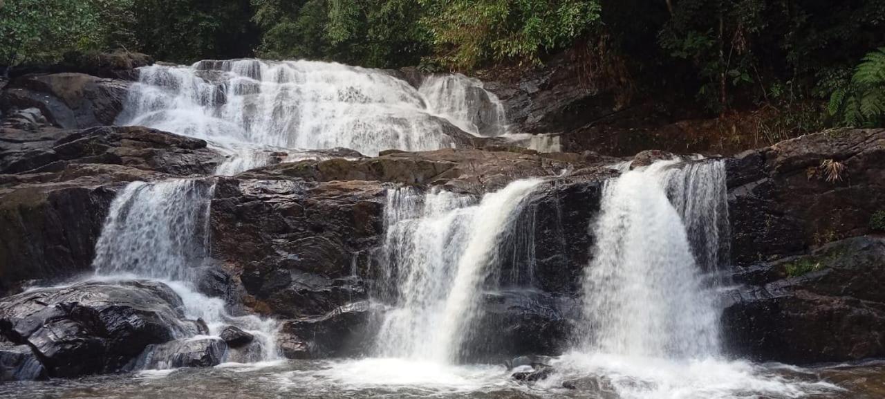 Thotupala Eco Lodge - B&B Nilweligama