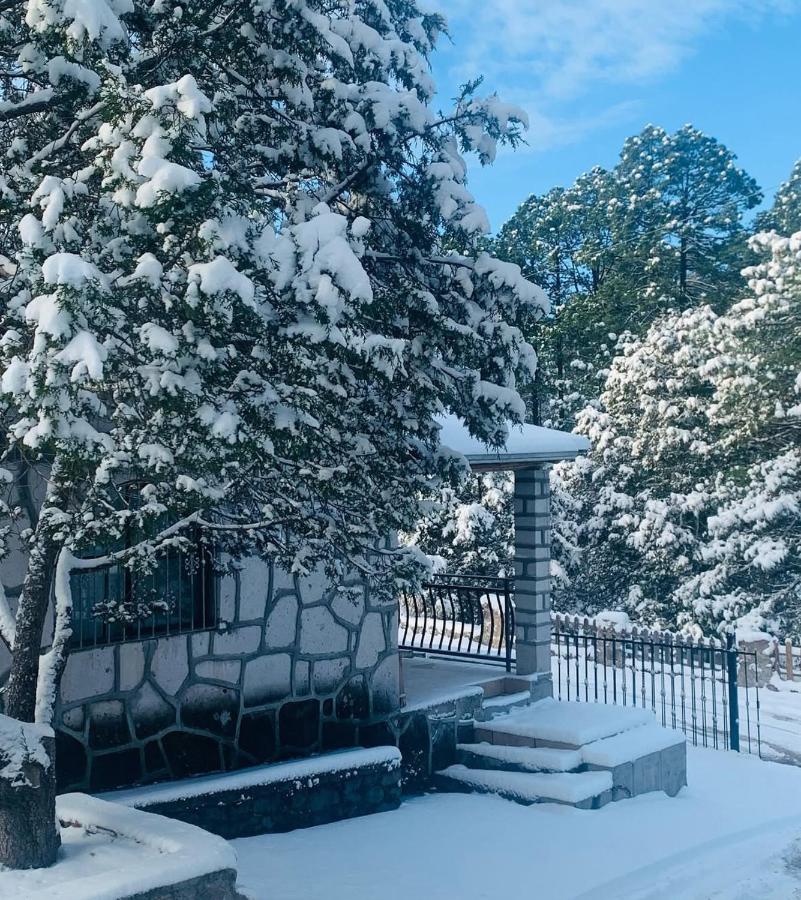 Cabañas las Gemelas - B&B Areponapuchi