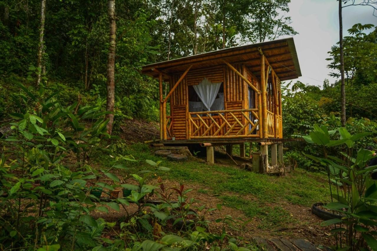 Habitación Doble con vistas a la montaña
