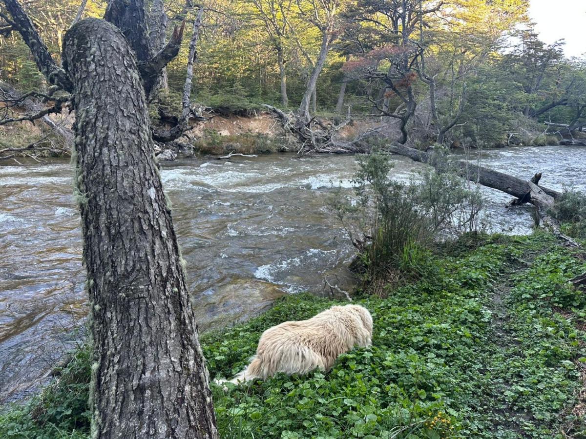 Casa en Ushuaia - B&B Ushuaia