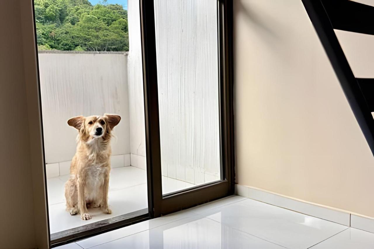 Classe A - Ferienwohnung Viçosa