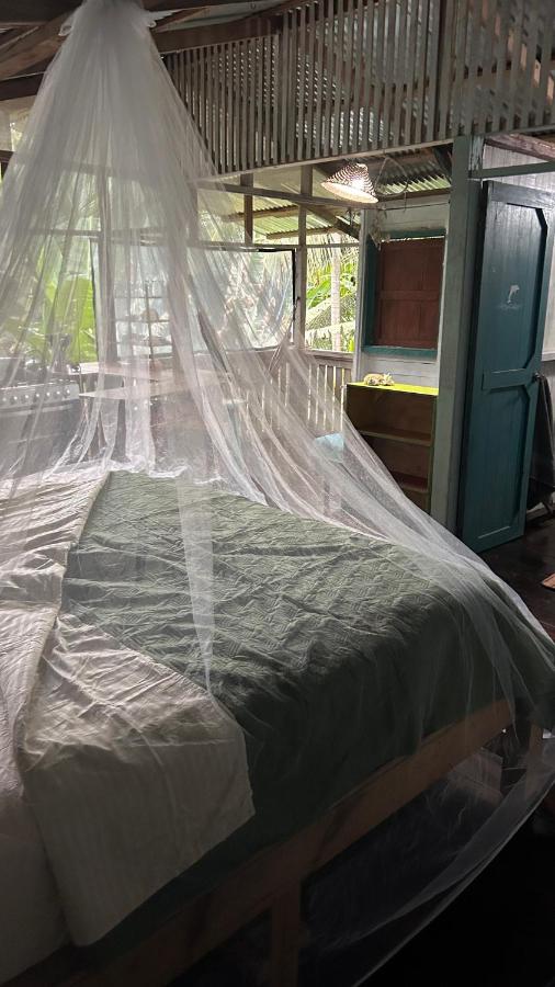 Estudio con cama extragrande