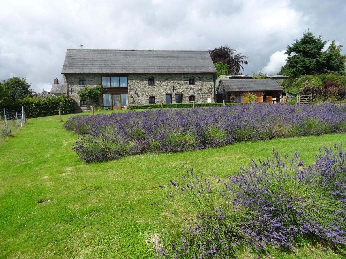 Willey Lane Farm - Bed and Breakfast Lingen