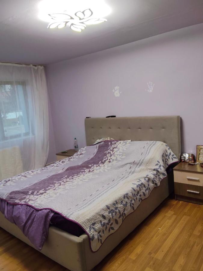 Apartament Gya - Chambres d’hôtes Lupeni