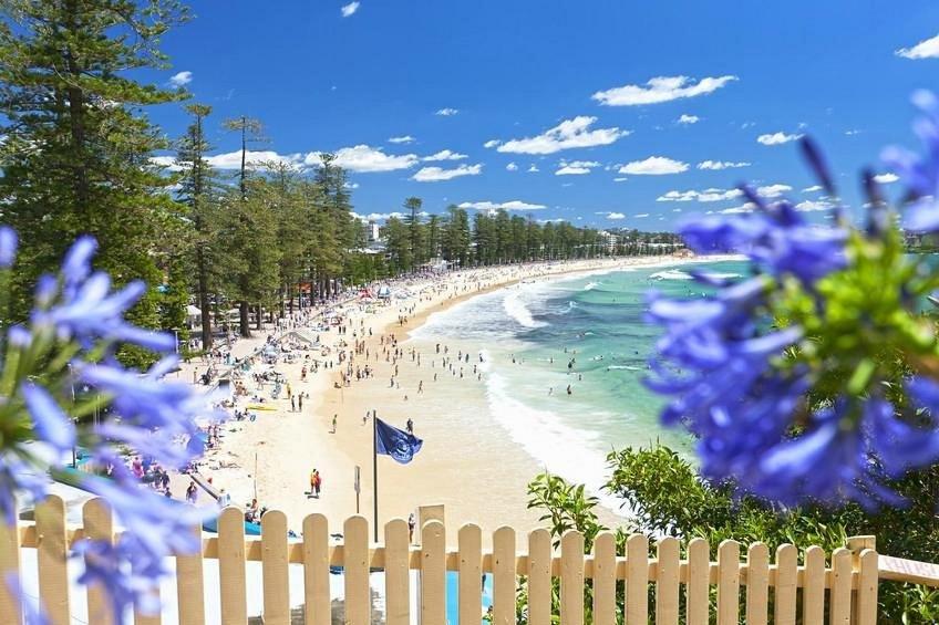 Sunny Manly Escape 2 min walk to beach - Chambres d’hôtes Sydney