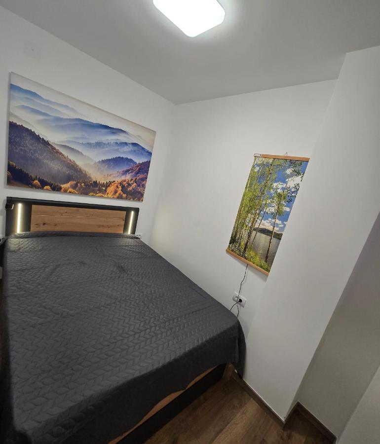 Appartamento Deluxe con 1 Camera da Letto