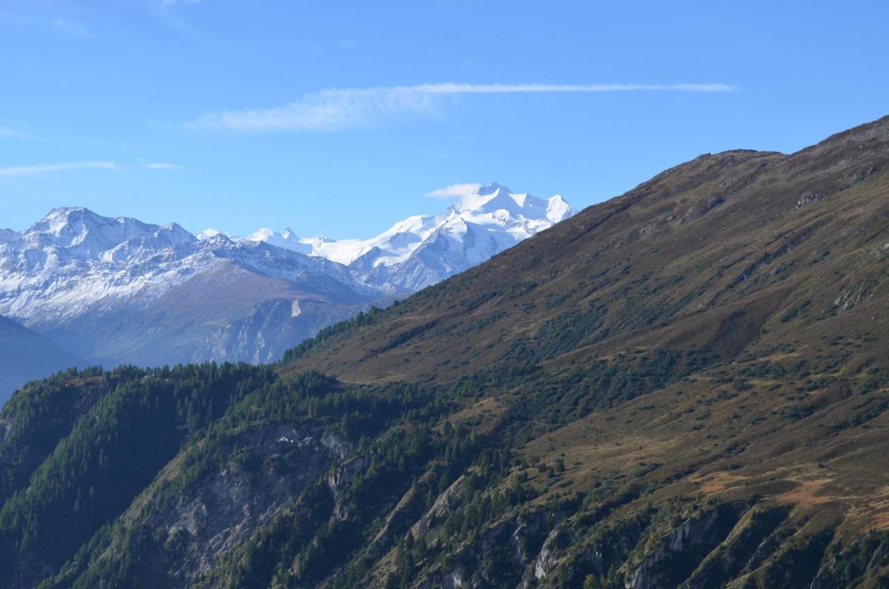 Malva - Chambres d’hôtes Belalp