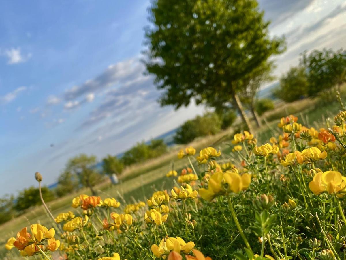 Casa con 2 Camere da Letto