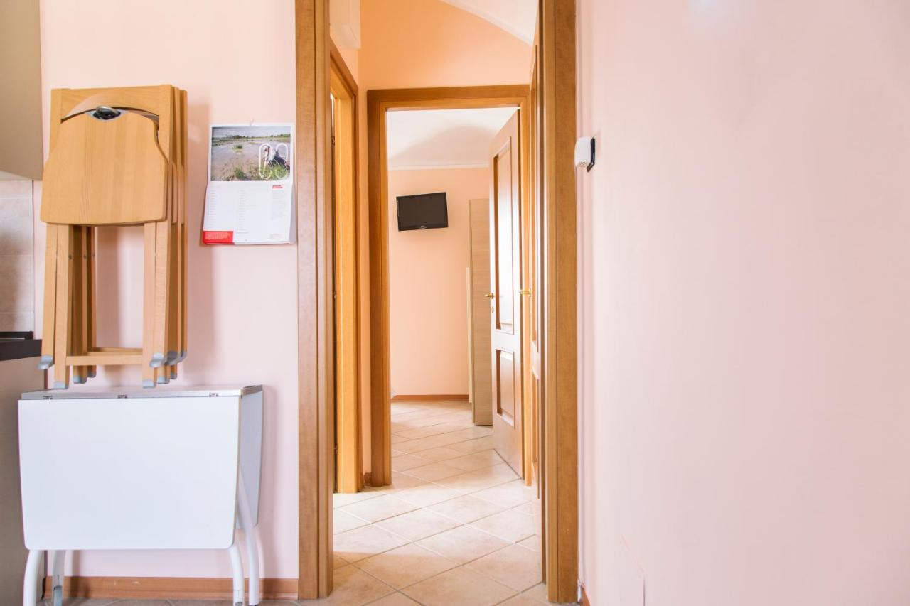 Appartement 1 Chambre