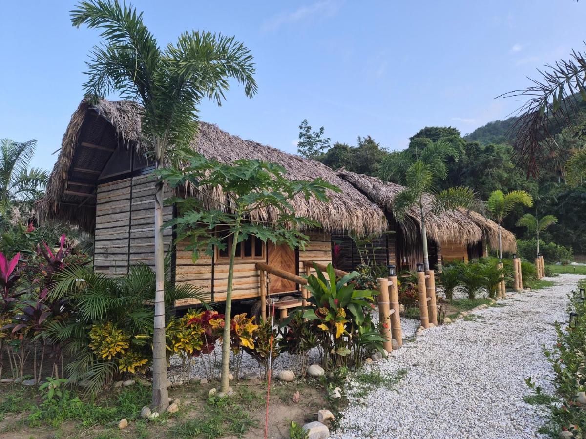 Dos Peladas Hostal - B&B Santa Marta