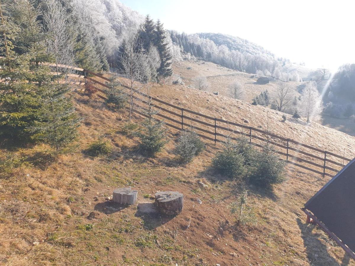 Independent Chalet - B&B Șirnea