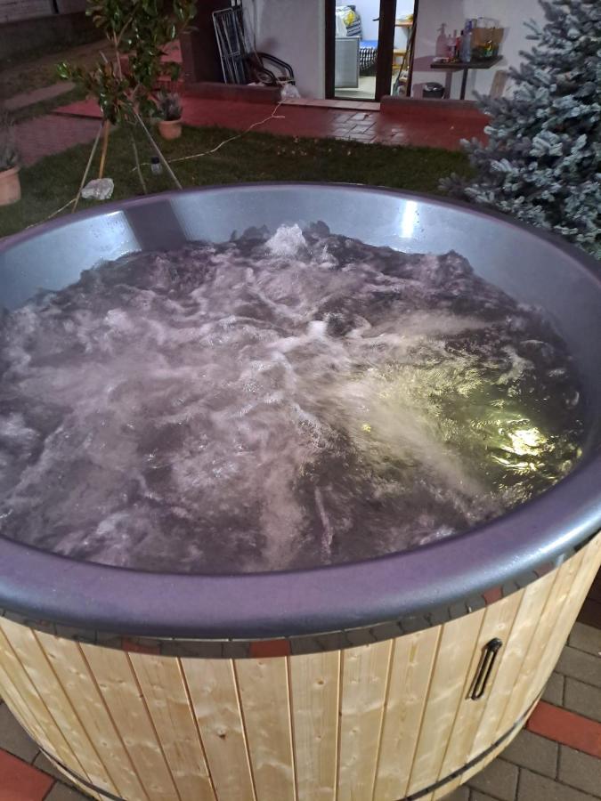 Vila Ovidiu - B&B Băile Herculane