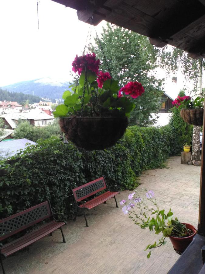 vila Dariana - B&B Vatra Dornei