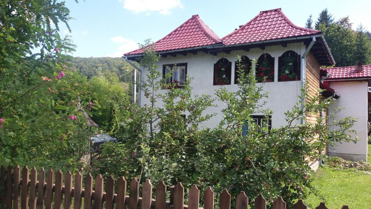 B&B Suceviţa - Pensiunea Letitia - Bed and Breakfast Suceviţa