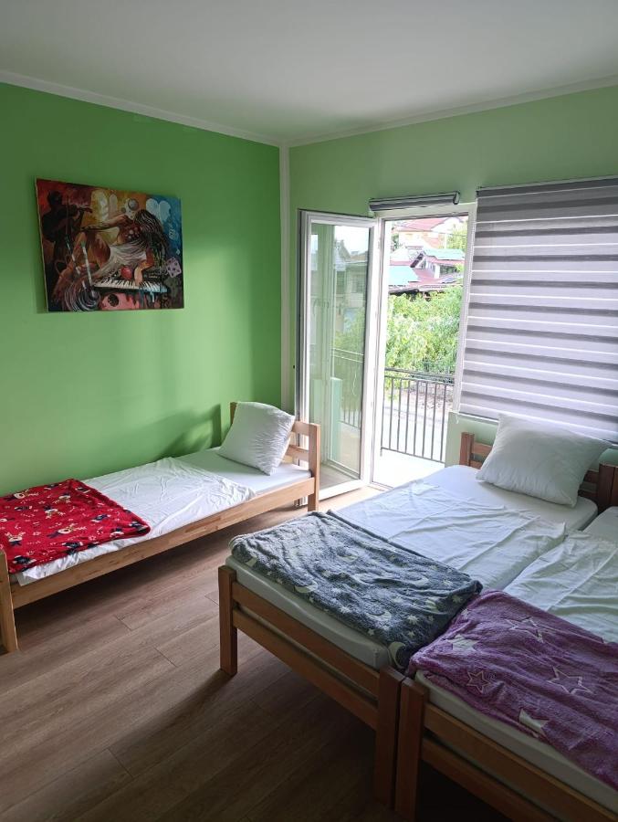 Tara - B&B Surdulica