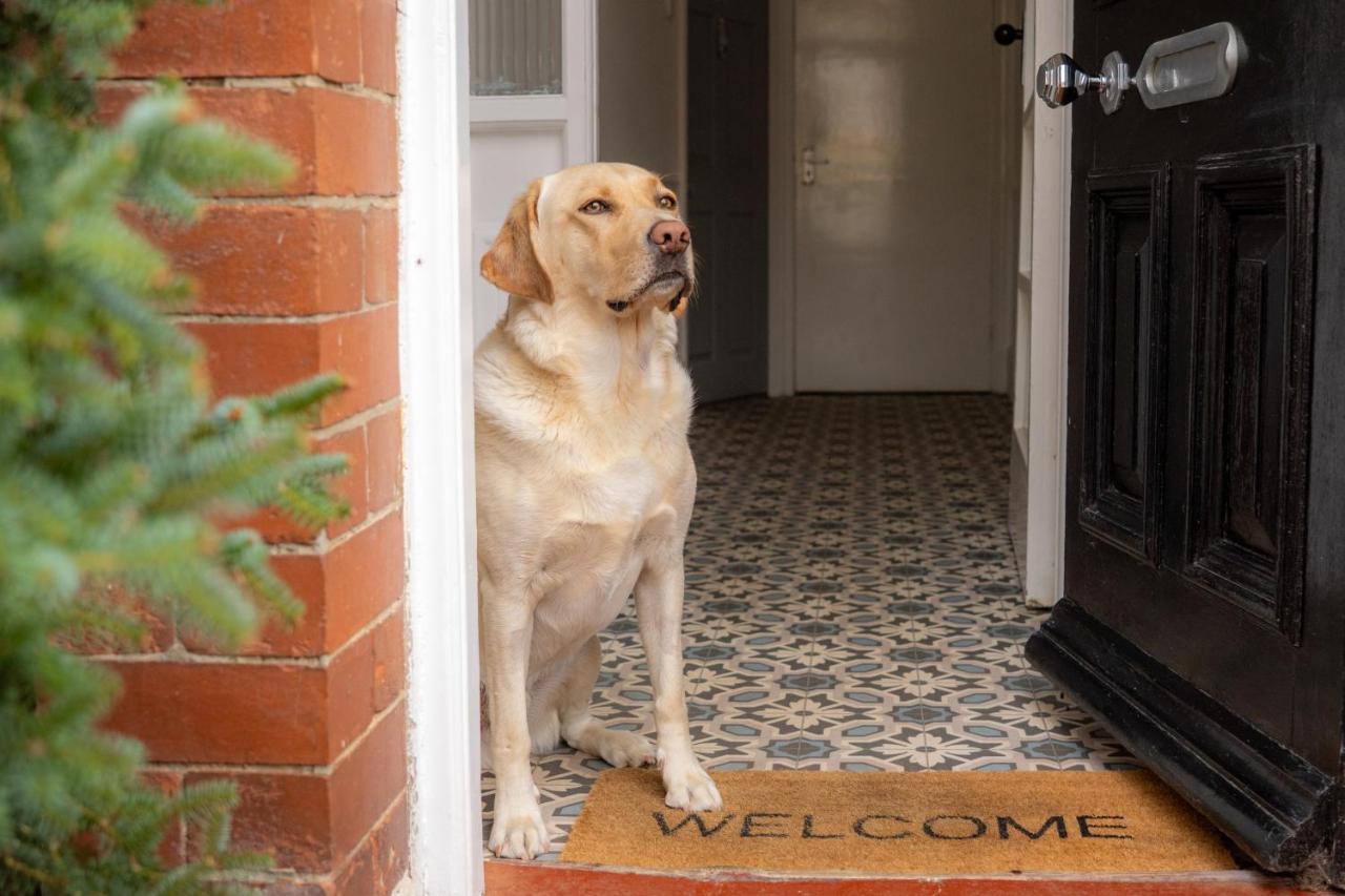The George - B&B Whitley Bay