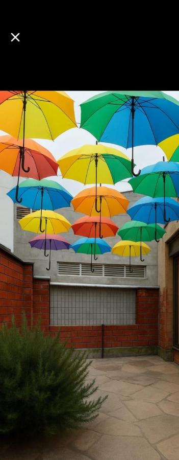 colibrí Hostel - B&B Armenia