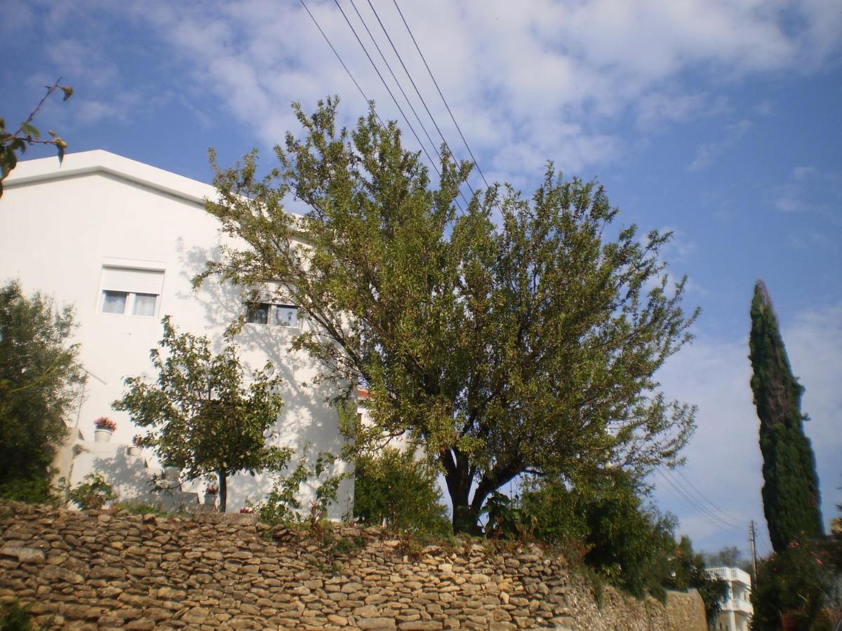 Apartment Vuk i Novak - B&B