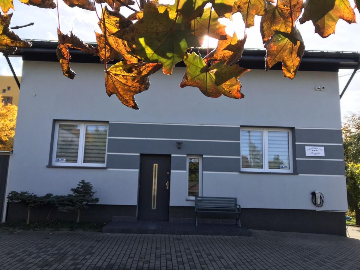 Apartament Angelo - Ferienwohnung Sosnowiec