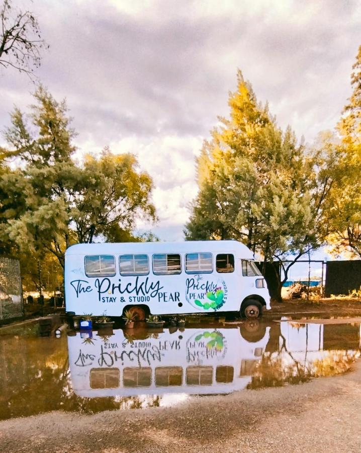 The Prickly Pear - Ferienwohnung Bloemfontein