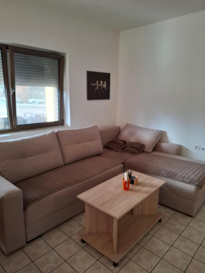 Apartment mit 1 Schlafzimmer