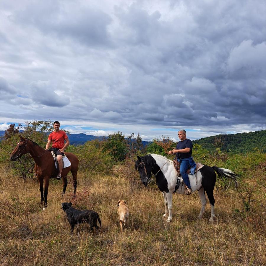 Nature Nest Više Selo - B&B Blace