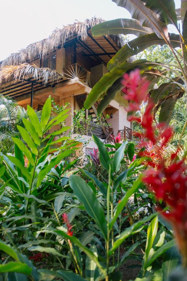 Salvia Madre