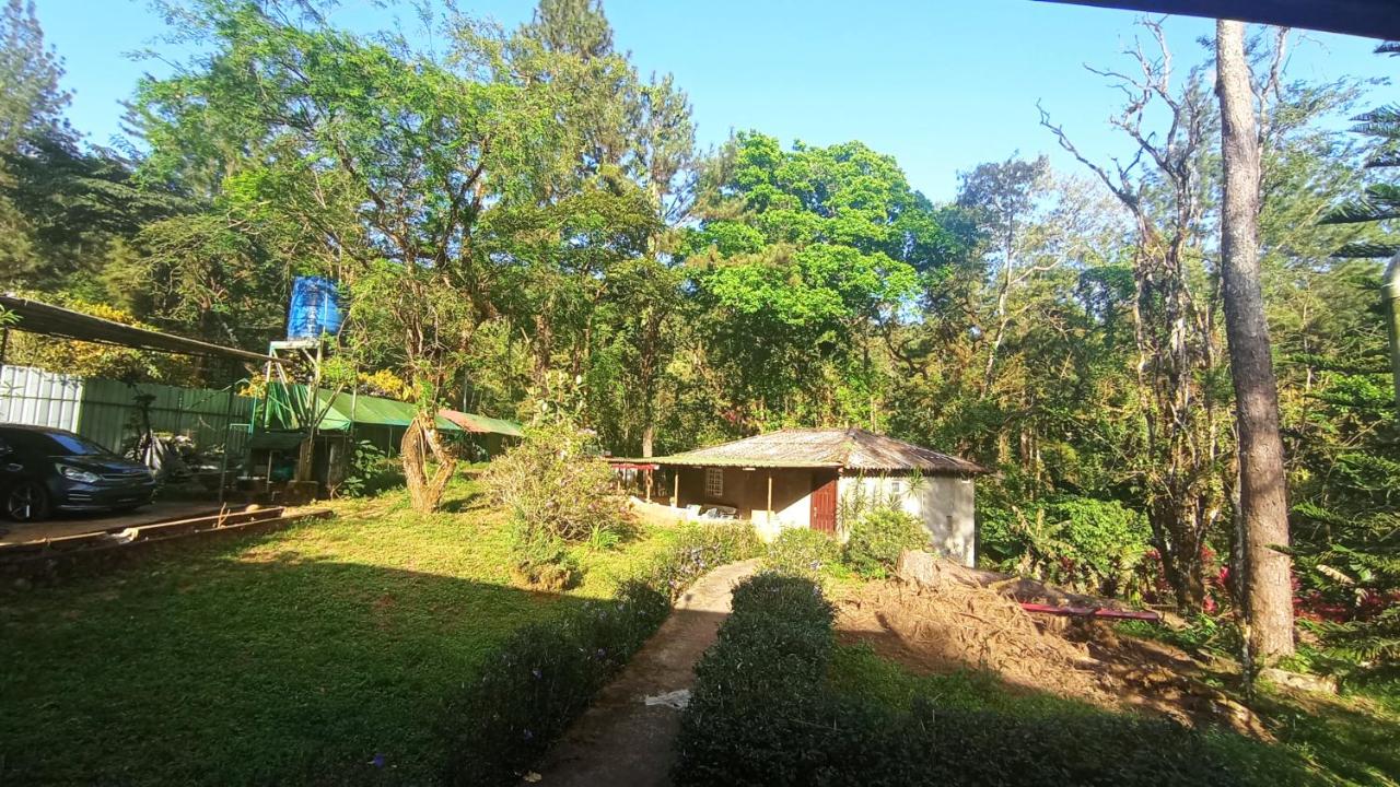 Cerroazulfarmlodge - B&B Cerro Azul