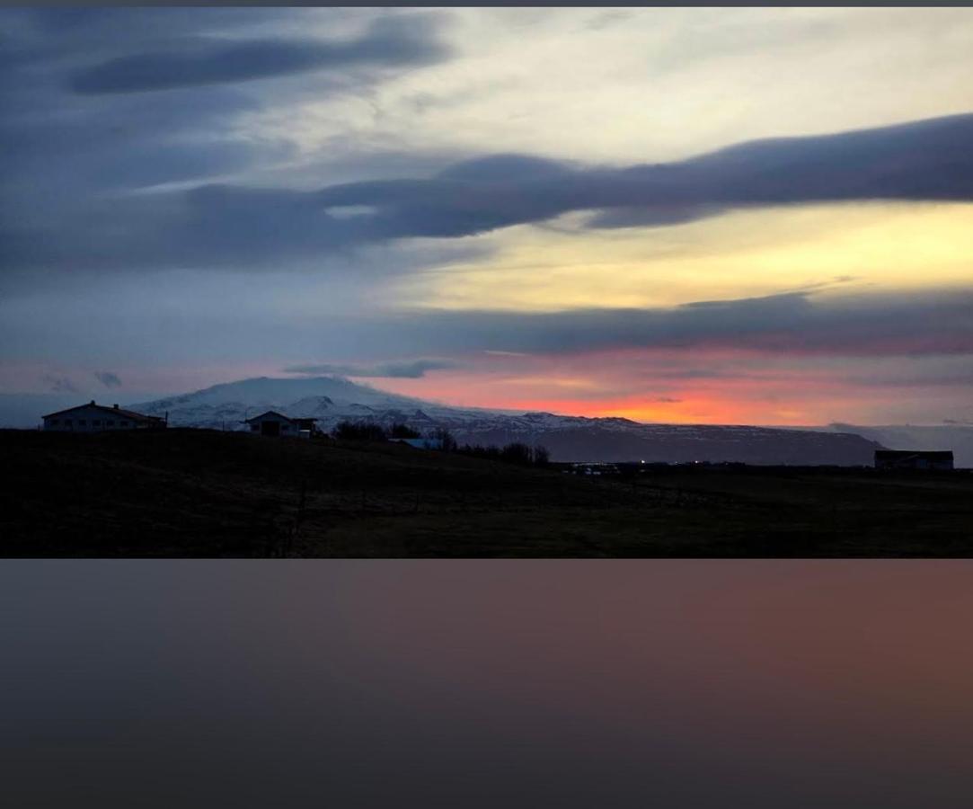 Vestra-Fíflholt - B&B Hvolsvollur