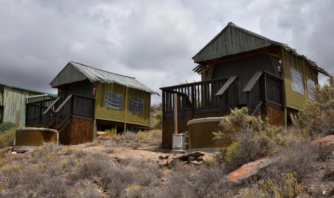 Zandfontein Bush Camp and Game Farm - Ferienwohnung Platdrift