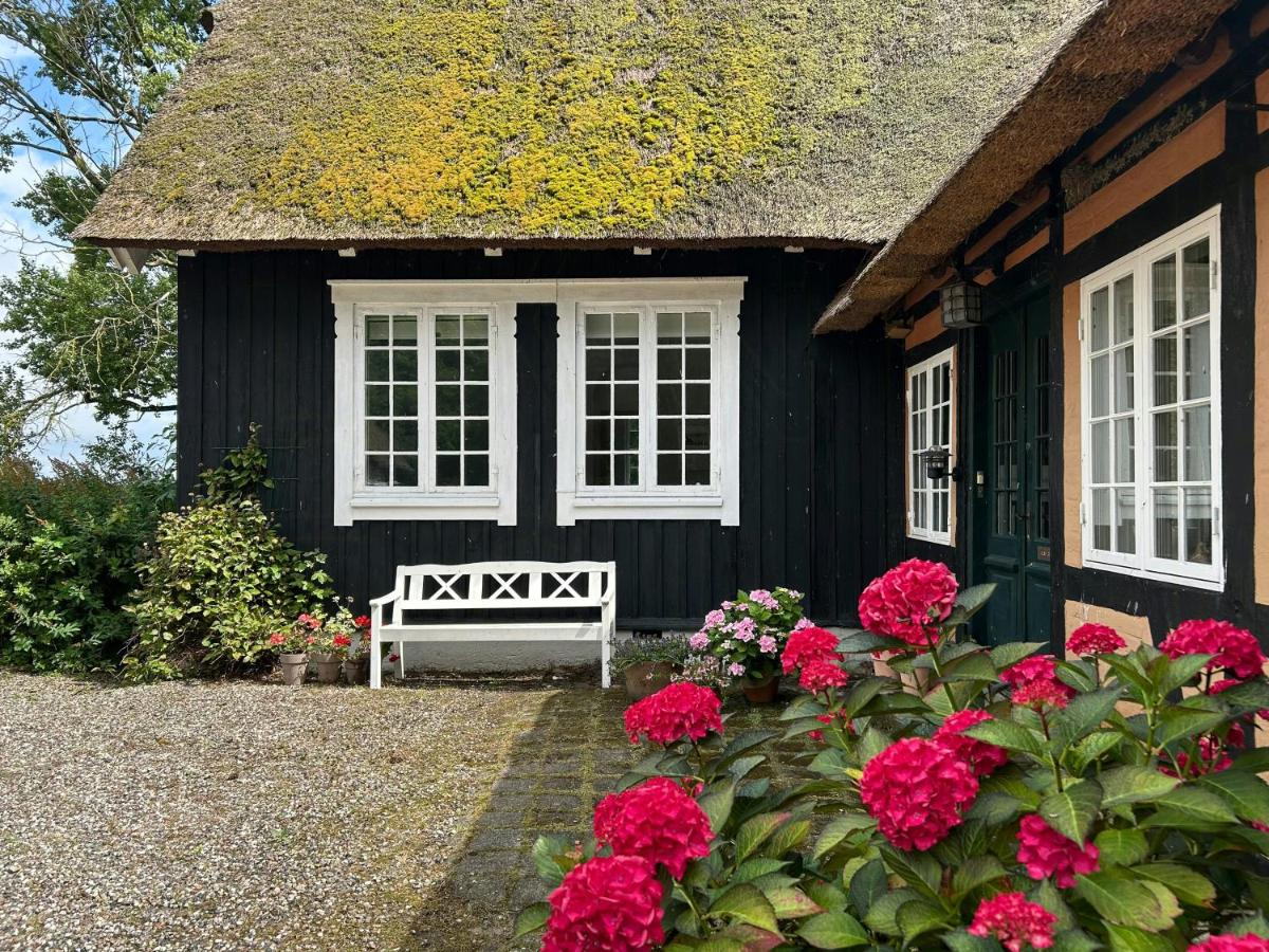 Historic Doctor's Residence By Corselitze Forests - Ferienwohnung Nykobing Falster