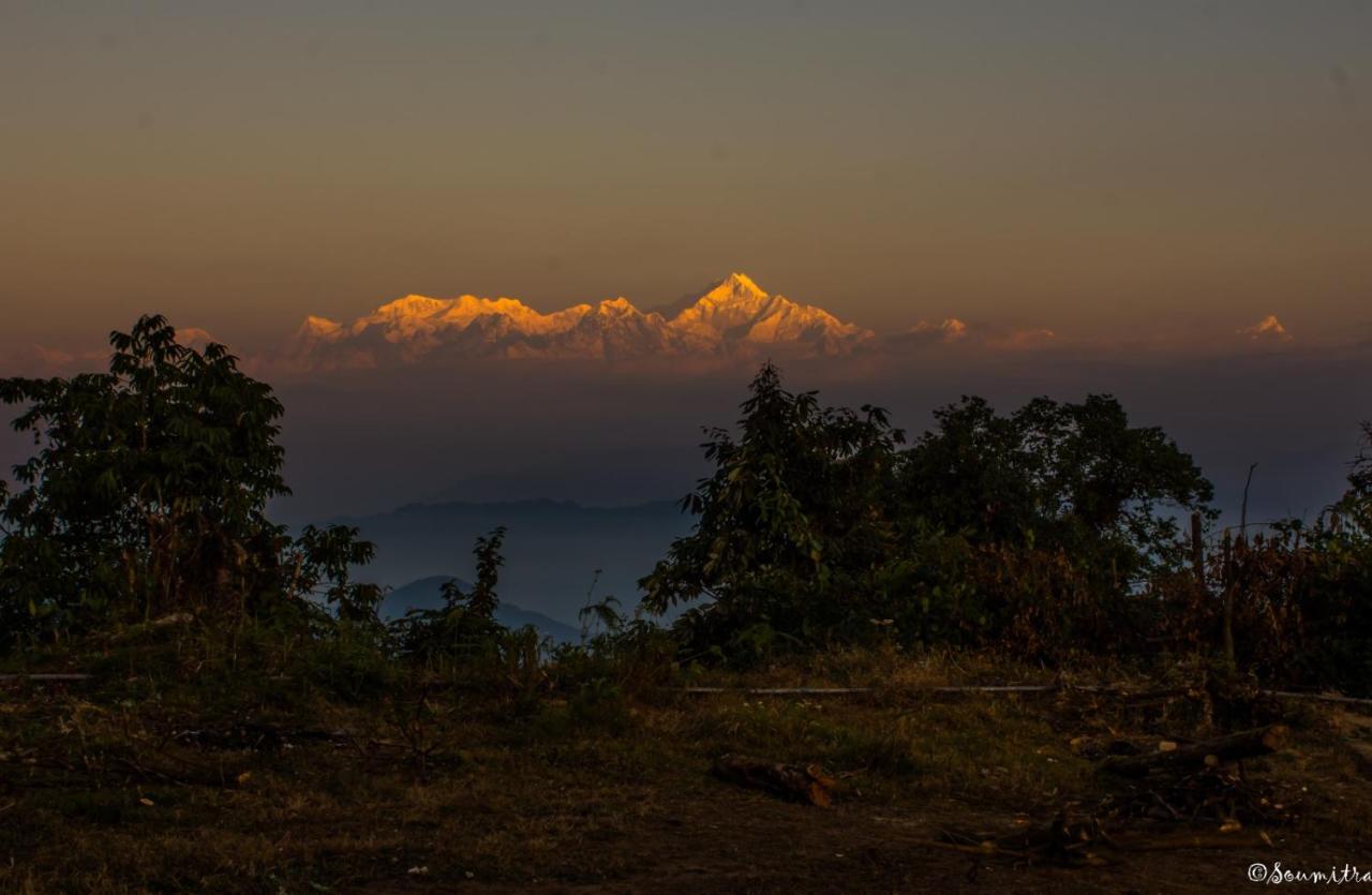 Silverberry Homestay - B&B Raushābāgh