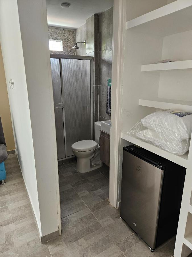 Alpha1 - B&B Roldanillo