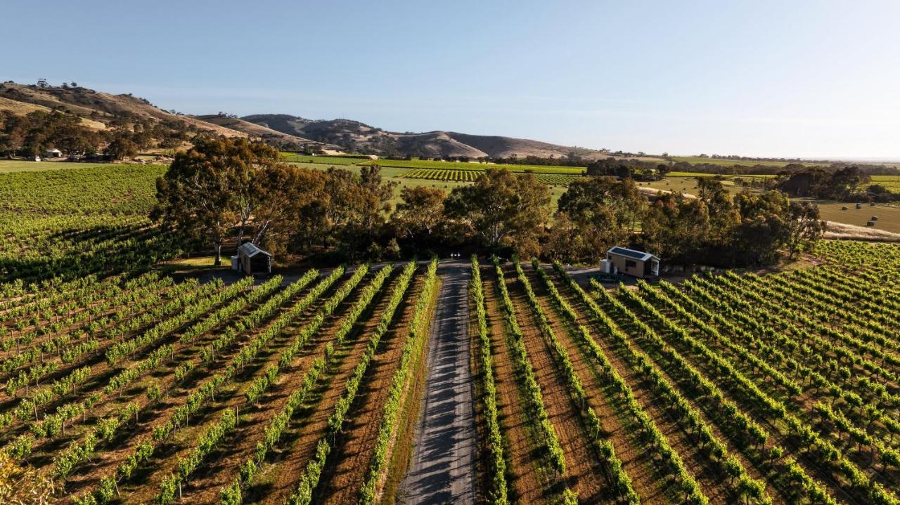Seabrook Vineyard Retreat - Bed and Breakfast Vine Vale