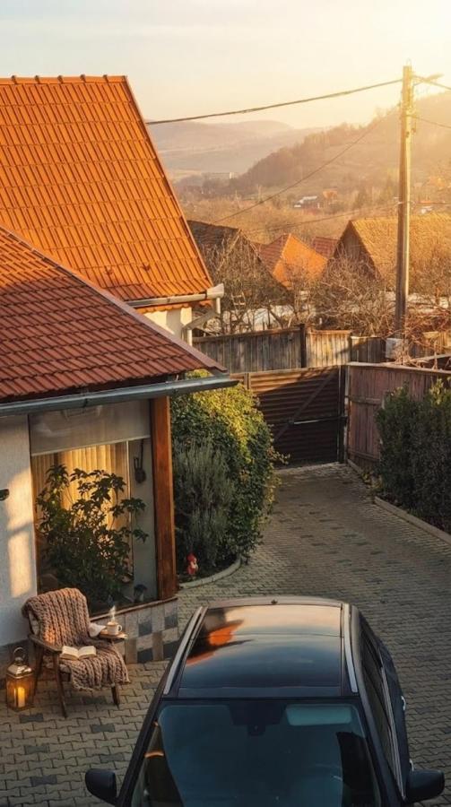 Casa de sub Brazi Relaxare la munte cu Ciubar - B&B Fântânele