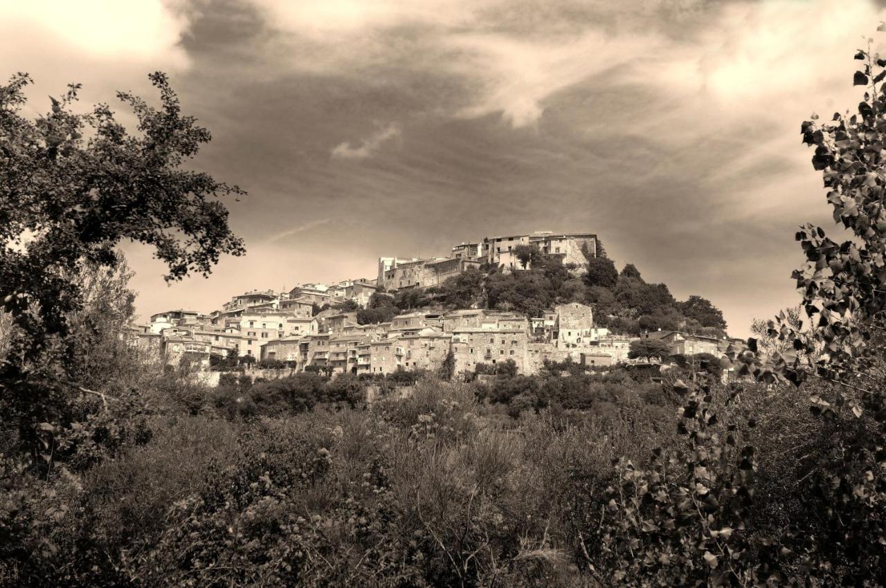 B&B Maison Civico 13 - Bed and Breakfast Ausonia