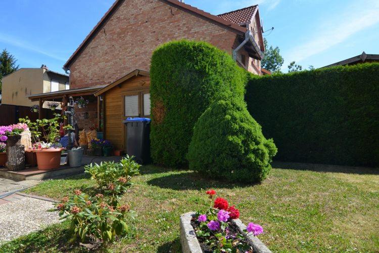 Ferienhaus Wotan - Ferienwohnung