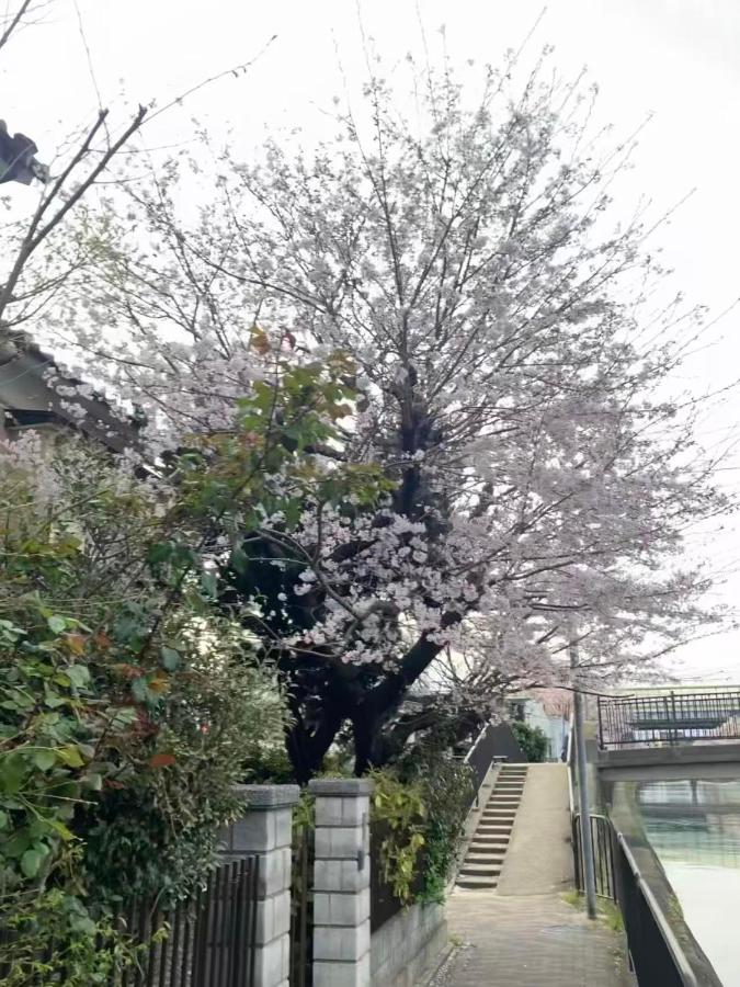 Vivi House - B&B Kioto