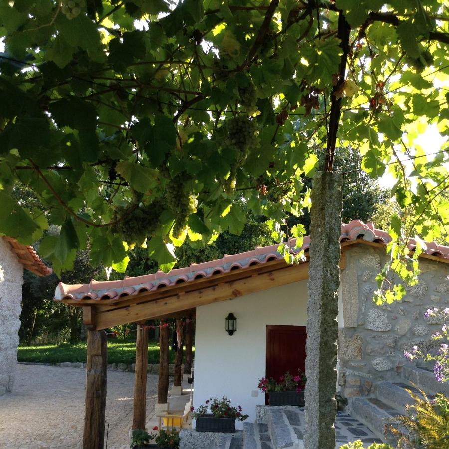 Casas do Eido e Casa da Viúva - Ferienwohnung Celorico de Basto