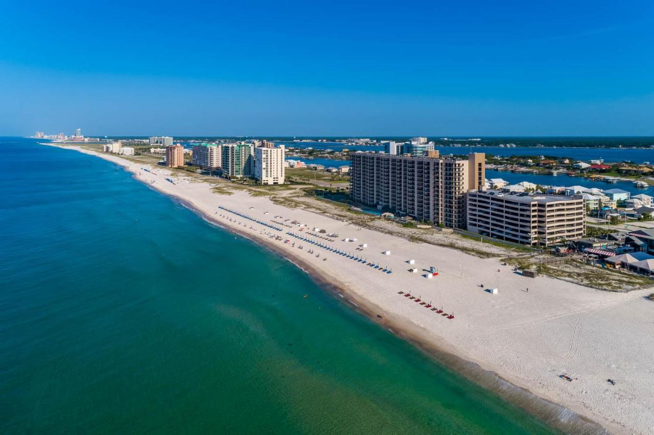 Phoenix X 805 - B&B Orange Beach