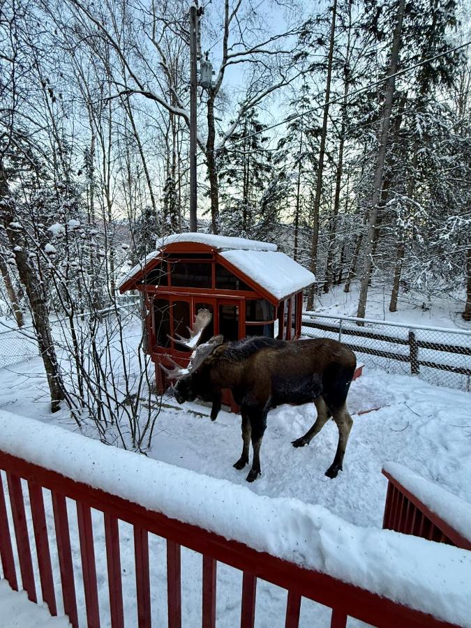 Hot Tub Stunning Mountain Views 2 kitchens 4 bedroom 2 bathroom - B&B Anchorage