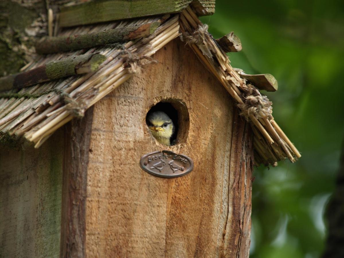 Gîtes spacieux avec jardin - B&B Chérisey