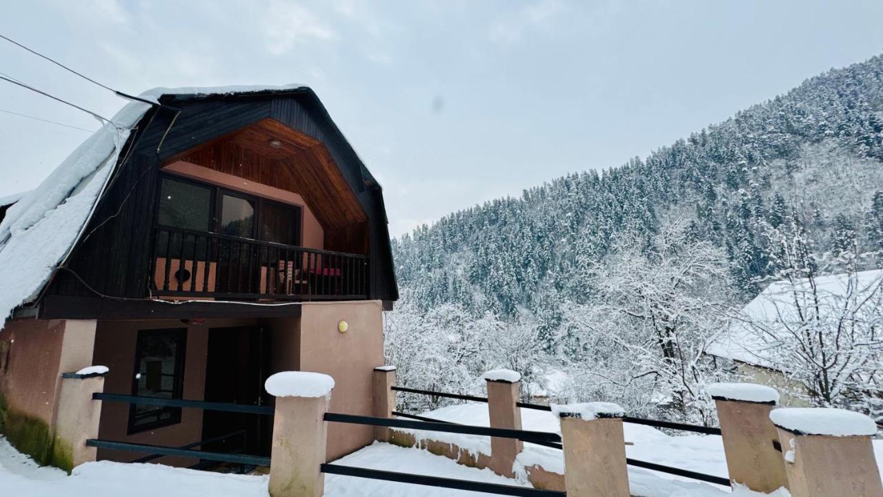 Likani house - B&B Borjomi